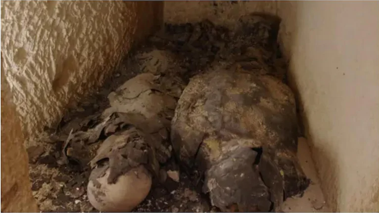 Curious about Cleopatra's tomb? Newly discovered mummies may help solve the mystery