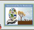 Haryana State Biodiversity Board celebrated International Biodiversity Day